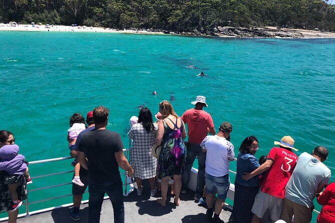 Jervis Bay Dolphin Cruise - Activity Last Words and Meeting Point