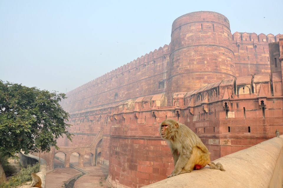 Jewels of India: Agra & Jaipur Expedition - Additional Inclusions