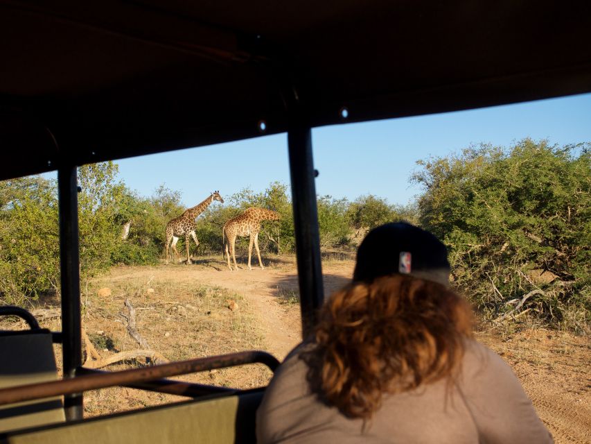 Johannesburg: 3-Day Classic Kruger National Park Safari Tour - Location Details