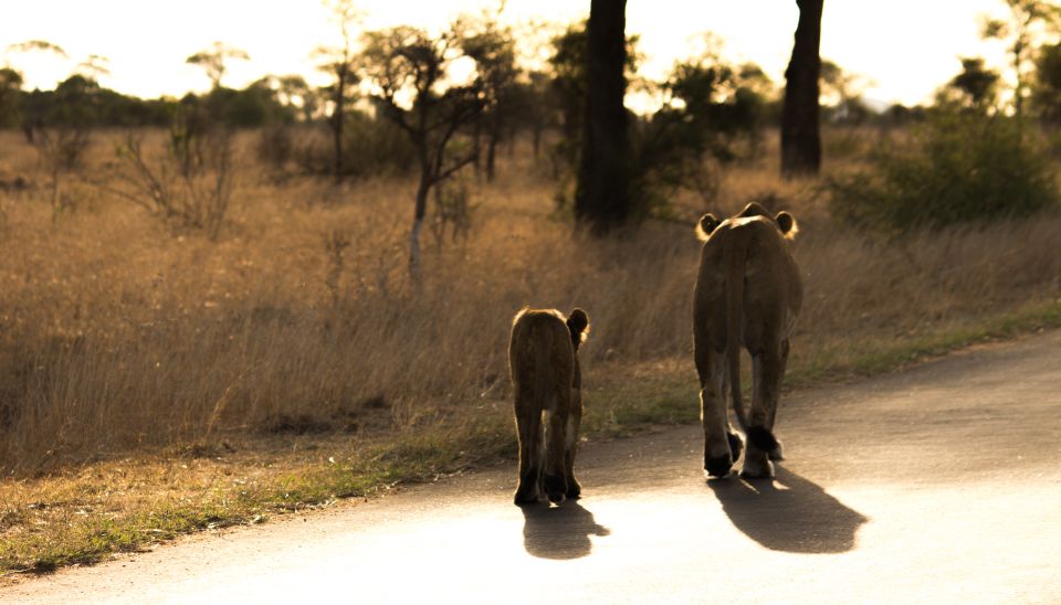 Johannesburg: 6-Day Luxury Kruger National Park Safari - Inclusions and Exclusions Information