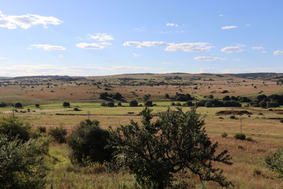 Johannesburg: Day Trip to Cradle of Humankind and Game Drive - Activity Description Breakdown