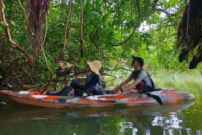 Kadena Mangrove Kayak Tour (Mar ) - Confirmation and Accessibility