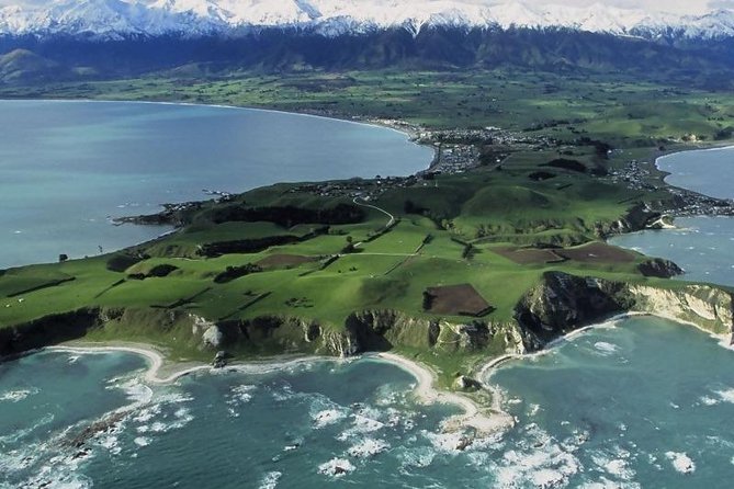 Kaikoura 12-Hour Dolphin Cruise From Christchurch (Mar ) - Common questions