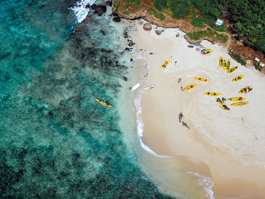 Kailua: Explore Kailua on a Guided Kayaking Tour With Lunch - Environmental Education