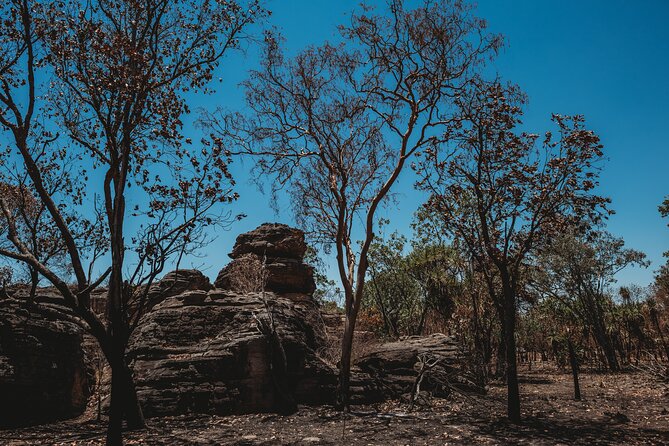 Kakadu Day Tour From Darwin With Offroad Dreaming - Booking Information