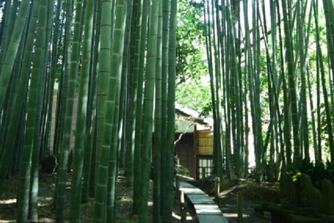 Kamakura Bamboo Forest and Great Buddha Private Tour - Pricing Details