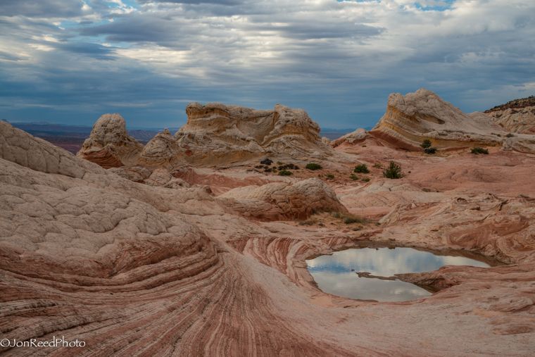 Kanab: White Pocket Hiking Tour in Vermilion Cliffs - Customer Reviews