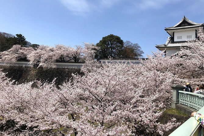 Kanazawa Full-Day Small-Group Samurai Town Tour, Omicho Market (Mar ) - What to Bring