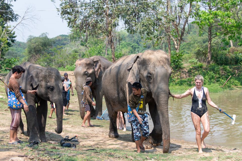 Kanchanaburi: Elephant Sanctuary & Erawan Waterfall Tour - Erawan Waterfall Trek Experience