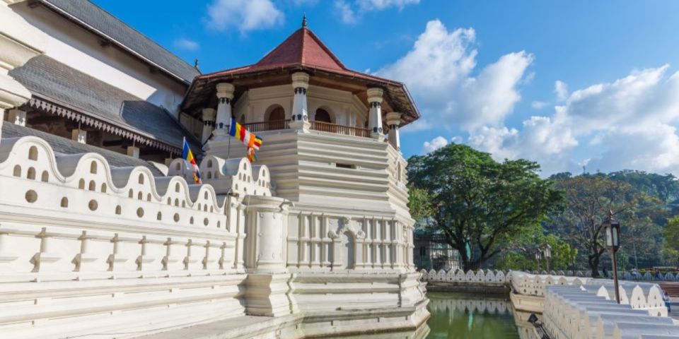 Kandy and Pinnawala: Private Day Trip From Colombo Harbor - Last Words