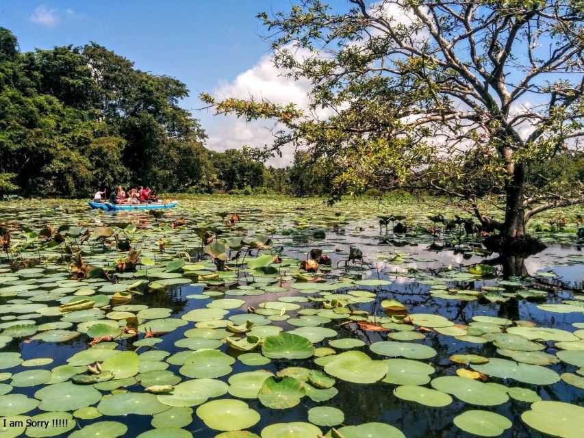 Kandy: Dambulla Cave Temple & Traditional Village Tour - Additional Details