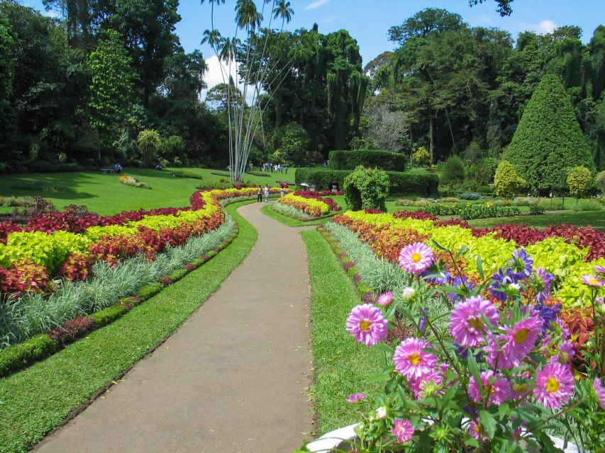 Kandy: Temples, Gardens & Cultural Show City Highlights Tour - Customer Reviews