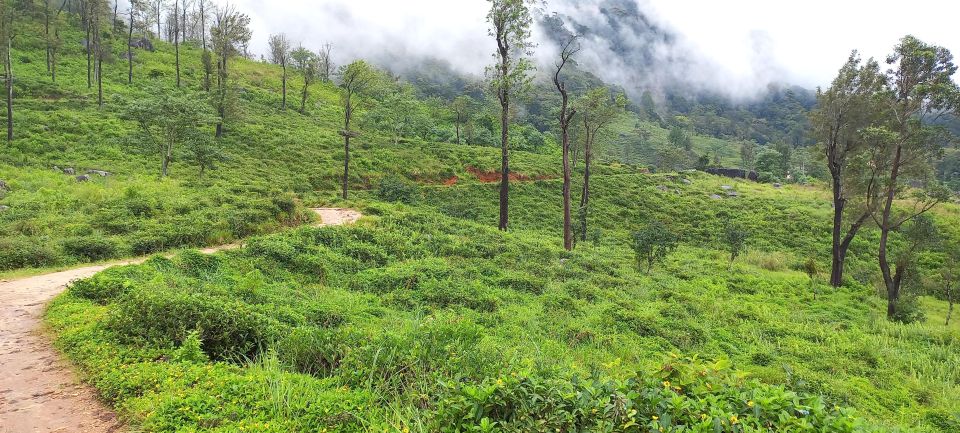 Kandy to Nuwaraeliya 3D Trekking Pekoe Trails Stage 1-2-&-3 - Location: Kandy to Nuwaraeliya Route