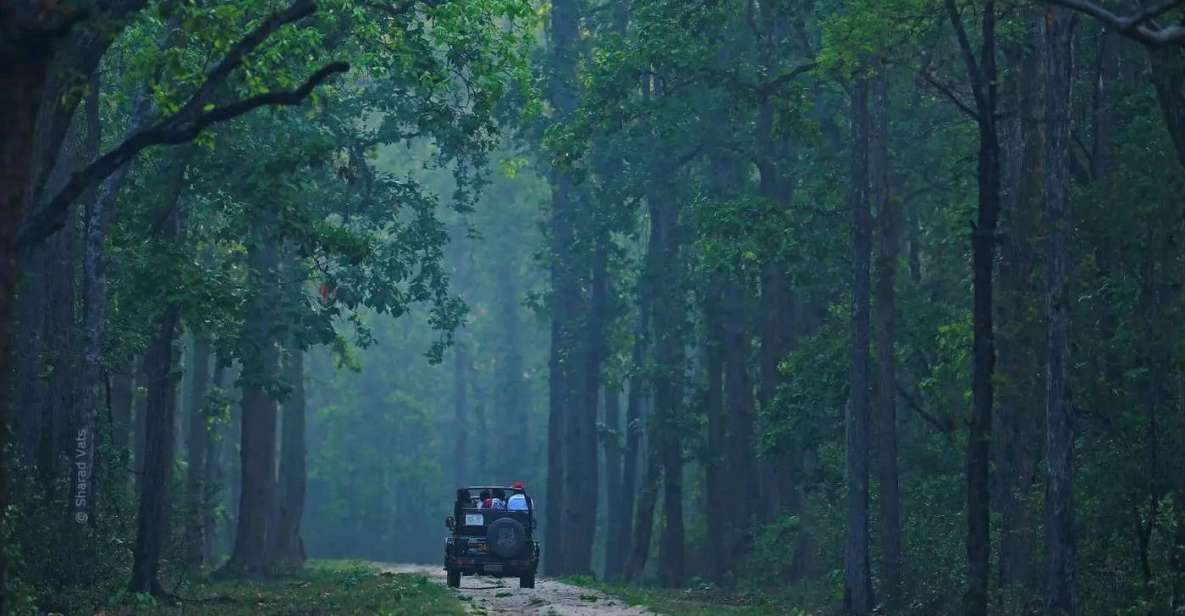 Kanha National Park: Open Jeep Tiger Safari in Kanha Kisli - Pickup Locations and Transportation