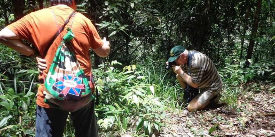 Kanneliya Forest Discovery: Guided Nature Expedition" - Detailed Expedition Description