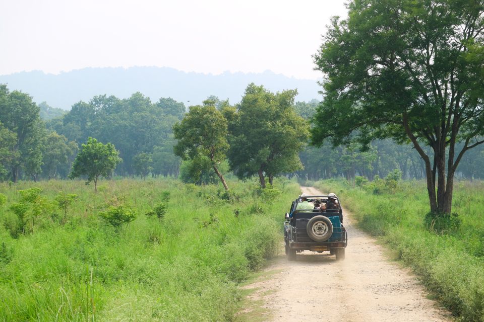 Kathmandu: 3-Day Bardiya Jungle Safari Tour by Flight - Accommodation Arrangements