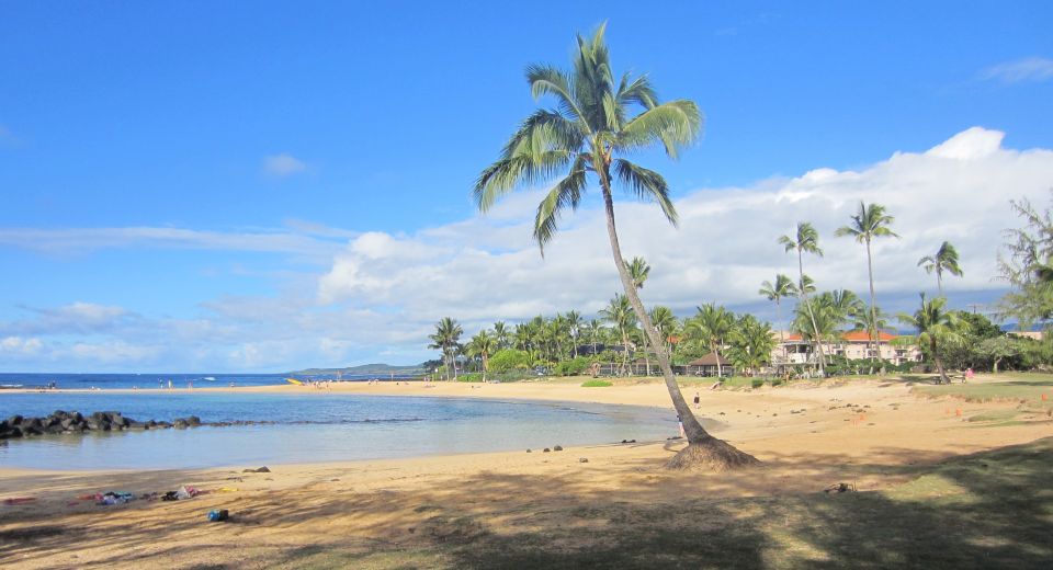 Kauai: Customized Luxury Private Tour - Location and Activity Details