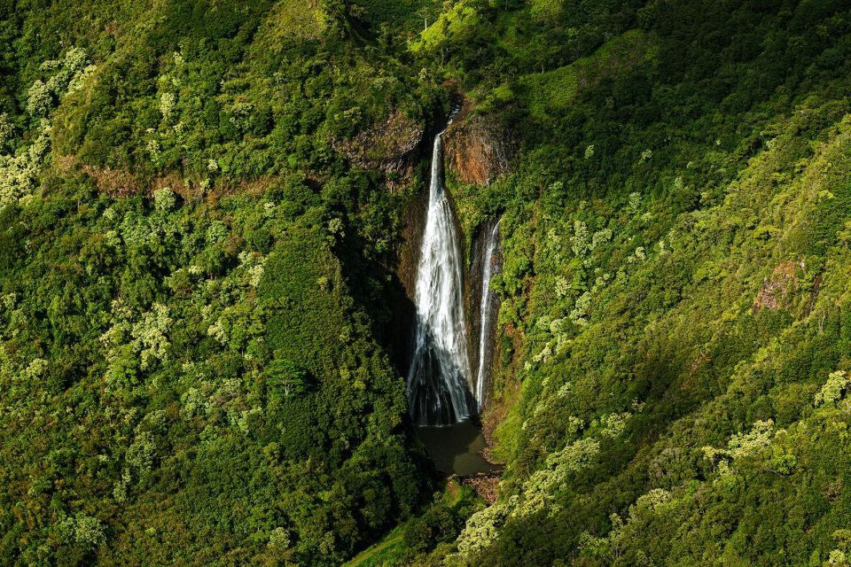 Kauai: Entire Kauai Air Tour With Window Seats - Customer Reviews and Ratings