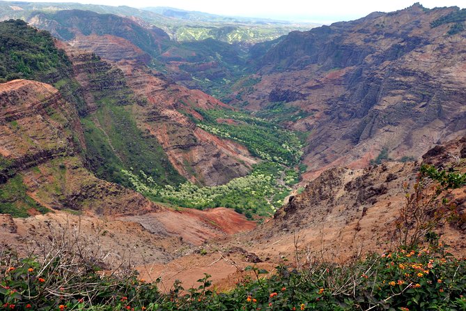 Kauai Waimea Canyon and Forest Tour With Lunch - Positive Experiences Shared