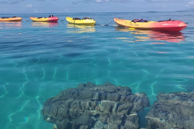 Kayak and Snorkel: Maui West Shore - Tour Details