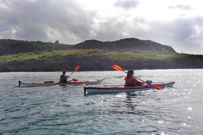 Kayak Mangroves or Coral Reef: Private Tour in North Okinawa - Mobile Ticket and Language Options