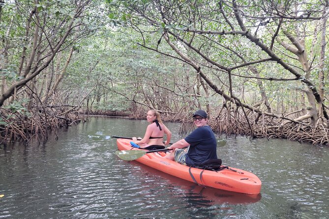 Kayak or Stand up Paddle Board Island and Wildlife Exploration - Directions