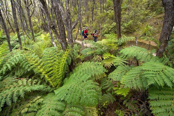 Kayak & Pitt Head Nature Loop - Guided Kayak & Unguided Walk - New Zealand - Directions and Important Notes