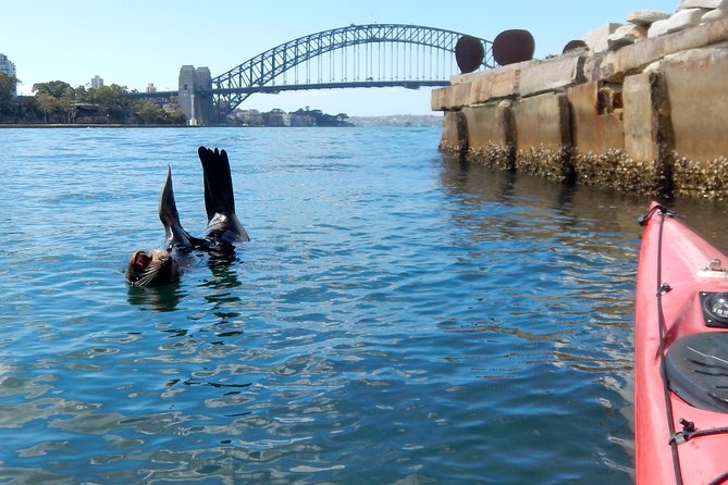 Kayak to Goat Island in Sydney Harbour With Local - Cancellation Policy