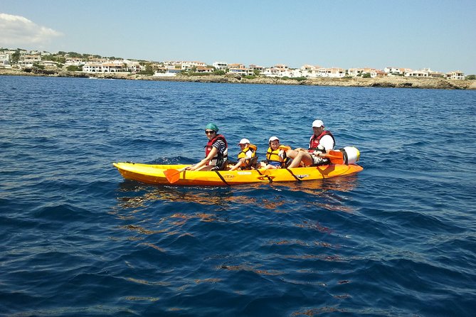 Kayak Tour in the Marine Reserve ! - Traveler Photos and Reviews