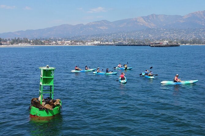 Kayak Tour of Santa Barbara With Experienced Guide - Guide Expertise & Experience