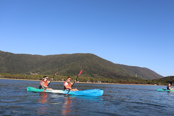 Kayak Turtle Tour From Palm Cove - Cancellation Policy