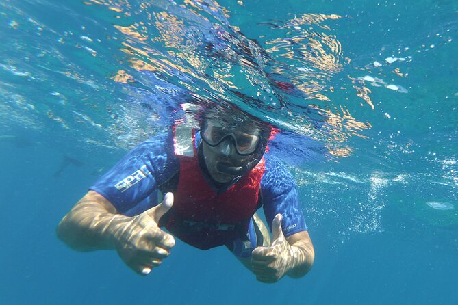Kayaking Snorkeling With Turtles - Traveler Reviews and Ratings