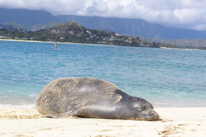 Kayaking Tour of Kailua Bay With Lunch, Oahu - Cancellation Policy