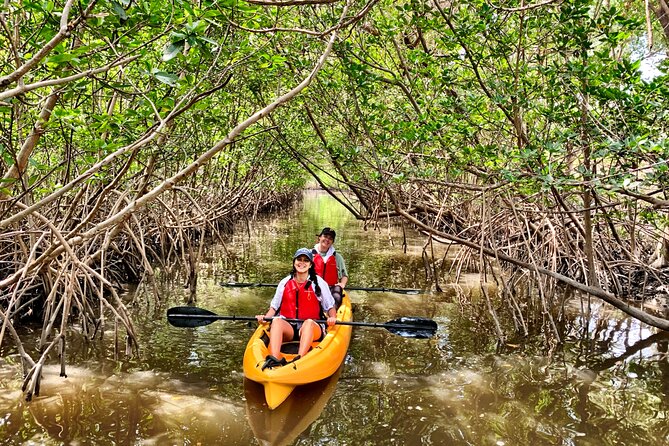 Kayaking Tour of Mangrove Tunnels in South Florida  - Fort Lauderdale - Pricing Details