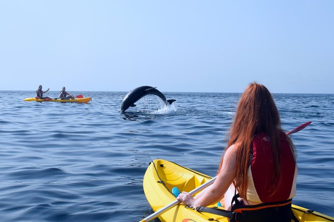 Kayaking With Dolphins and Turtles and Snorkelling in Tenerife - Benefits and Recommendations