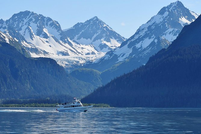 Kenai Fjords and Resurrection Bay Half-Day Wildlife Cruise - Traveler Experience and Reviews