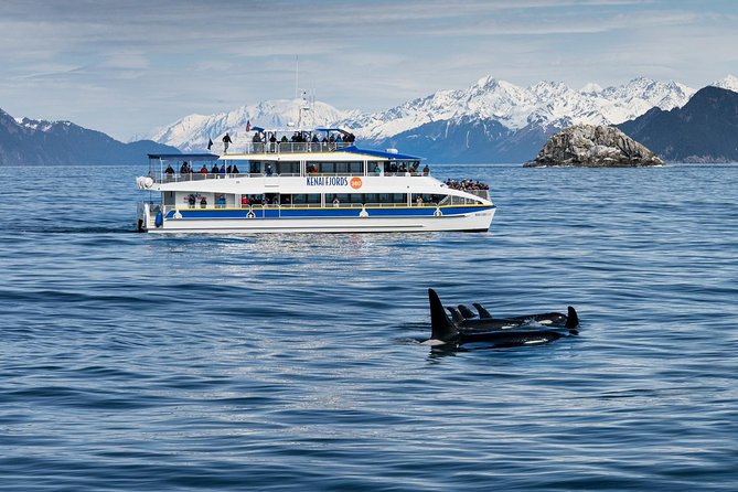 Kenai Fjords National Park Glacier & Wildlife Cruise - Captain and Crew Expertise