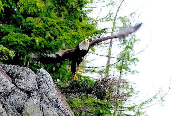 Ketchikan Electric Bike and Rain Forest Hike Ecotour - Booking and Confirmation Details