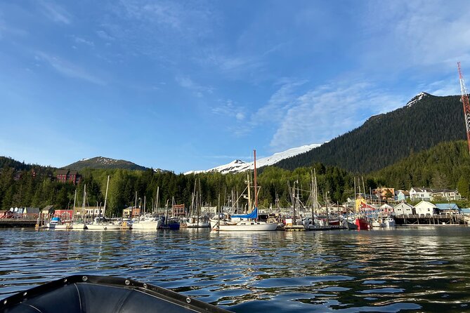 Ketchikan: Small-Group Marine Wildlife Zodiac Expedition - Customer Testimonials