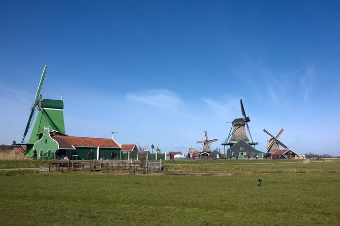 Keukenhofs Tulips and Windmills Small-Group Tour From Amsterdam - Transportation, Pricing, and Viator Information