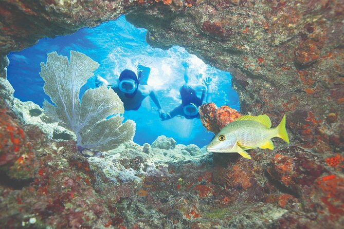 Key West Double-Dip: Two Reef Snorkeling Adventure With Drinks - Last Words