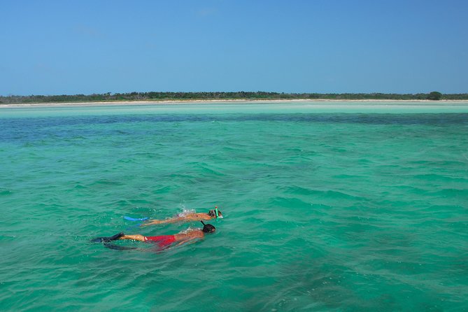 Key West Island Adventure: Kayak, Snorkel, Paddleboard - Common questions