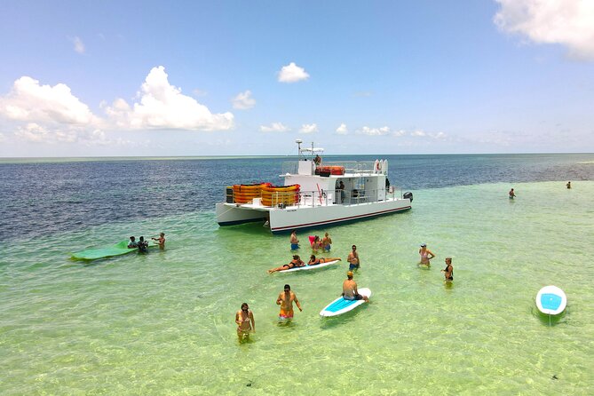 Key West Mangrove Kayak Eco Tour and Ultimate Sandbar Adventure - Pricing and Availability Information