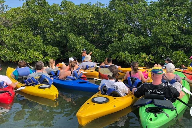Key West Mangrove Kayak Eco Tour - Additional Information