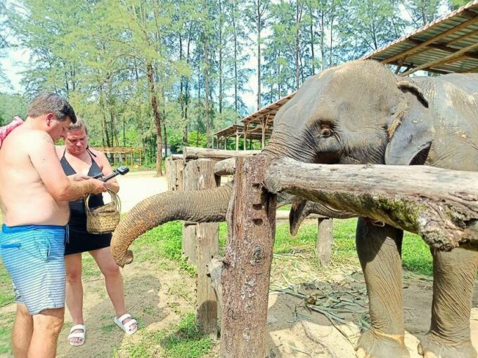 Khao Lak: Elephant Sanctuary Guided Tour - Transportation and Itinerary