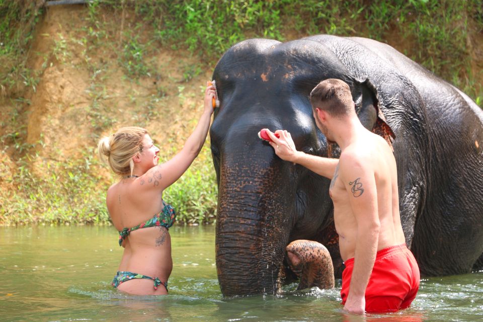 Khao Lak: Khao Sok Bamboo Rafting and Elephant Bathing Trip - Review Summary