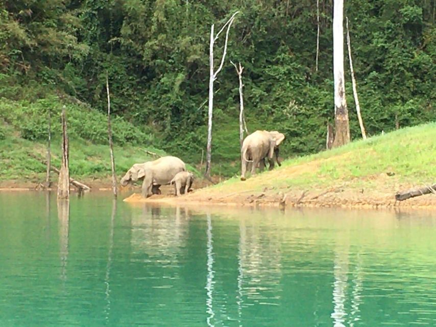 Khao Sok Charms, Cheow Lan Lake Day Expedition - Dining at a Floating Restaurant