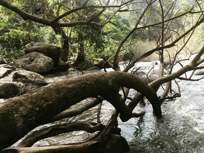 Khao Yai National Park Jungle Trekking Day Trip From Bangkok - Customer Testimonials