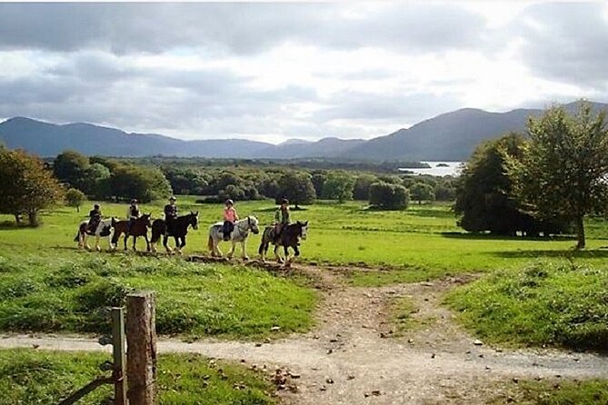 Killarney National Park Horseback Ride. Co Kerry. Guided. 3 Hours. - Last Words
