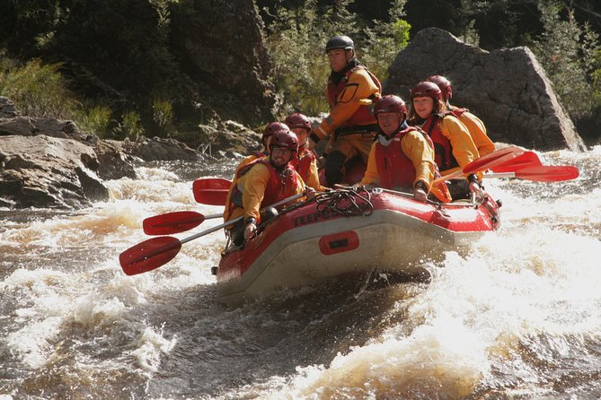 King River Gorge White-Water Rafting Day Tour From Queenstown (Mar ) - Gear and Equipment Needed